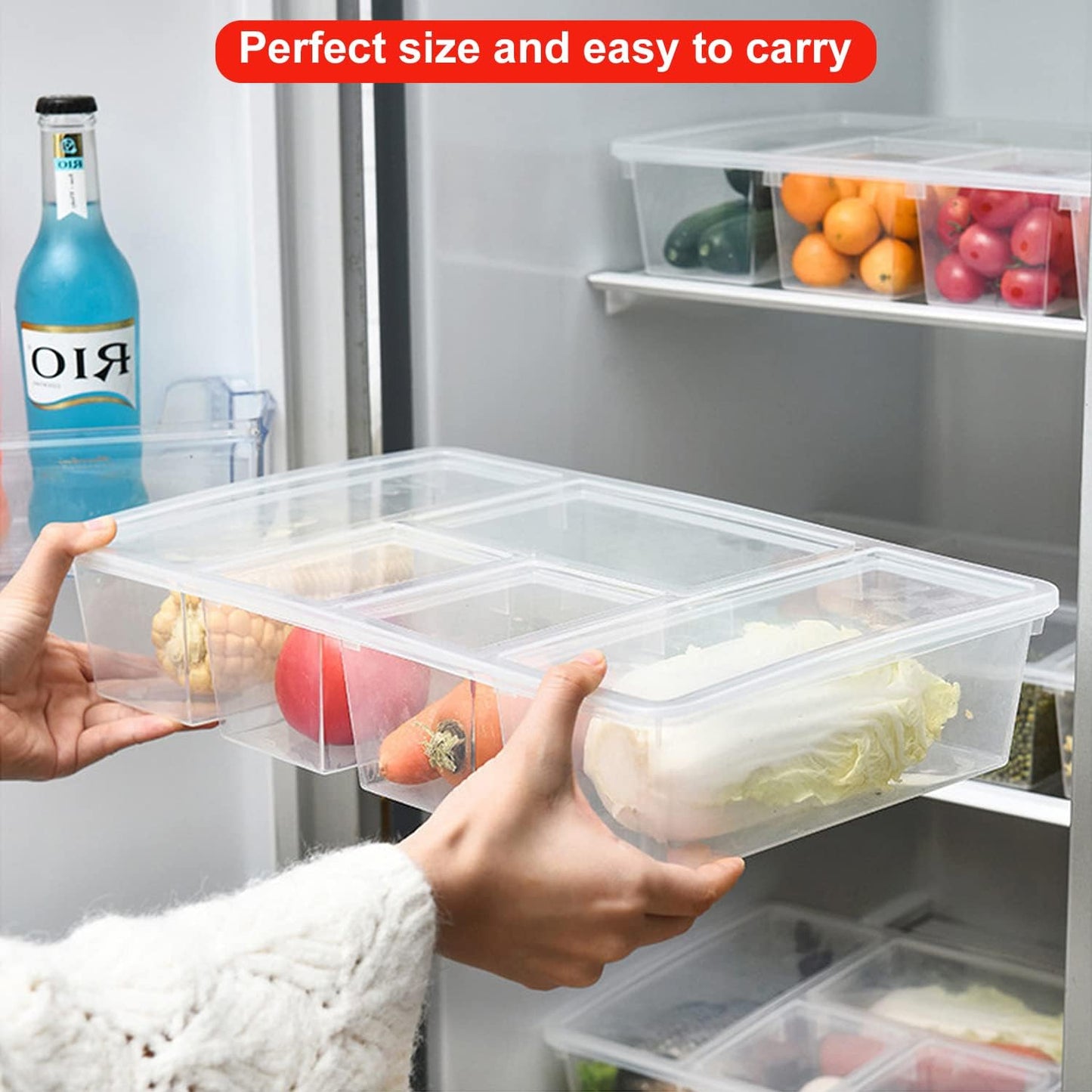 5 Section Multipurpose Organiser