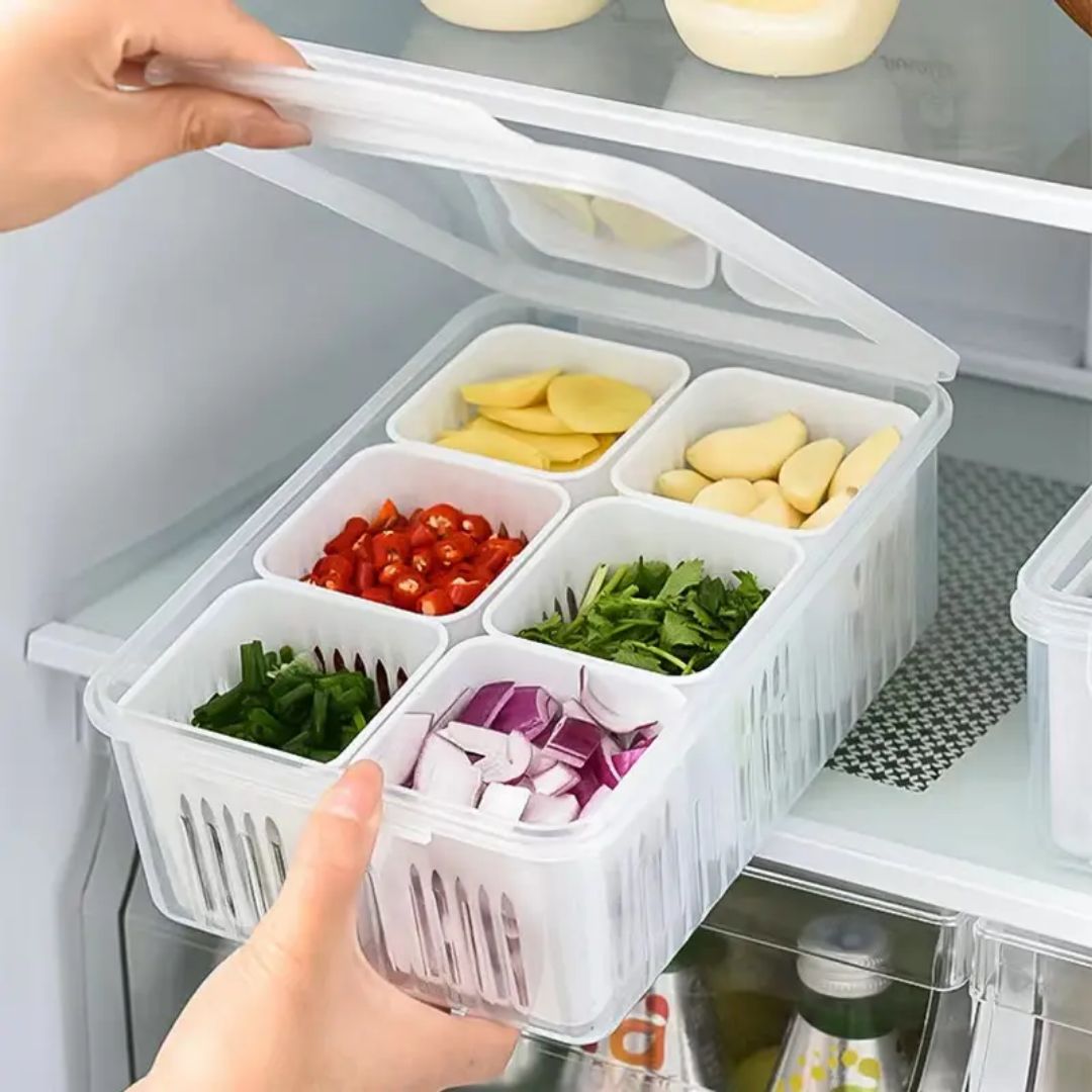 6 Section Fridge Container