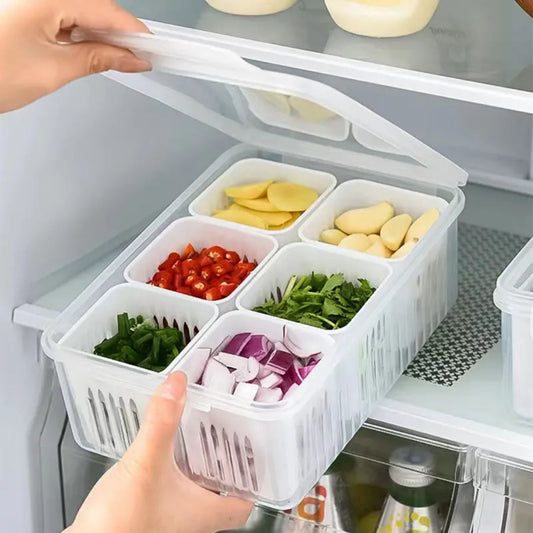 6 Section Fridge Container