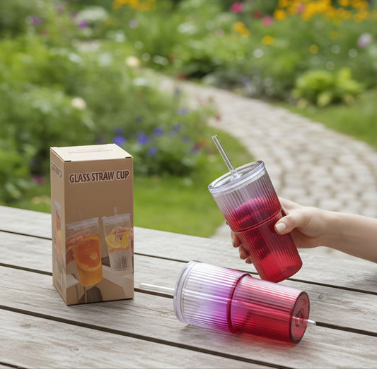 6814 Glass Sipper Mug (Imported)